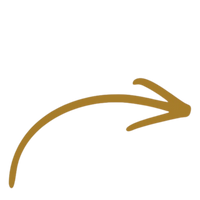 Made from Konjac Root