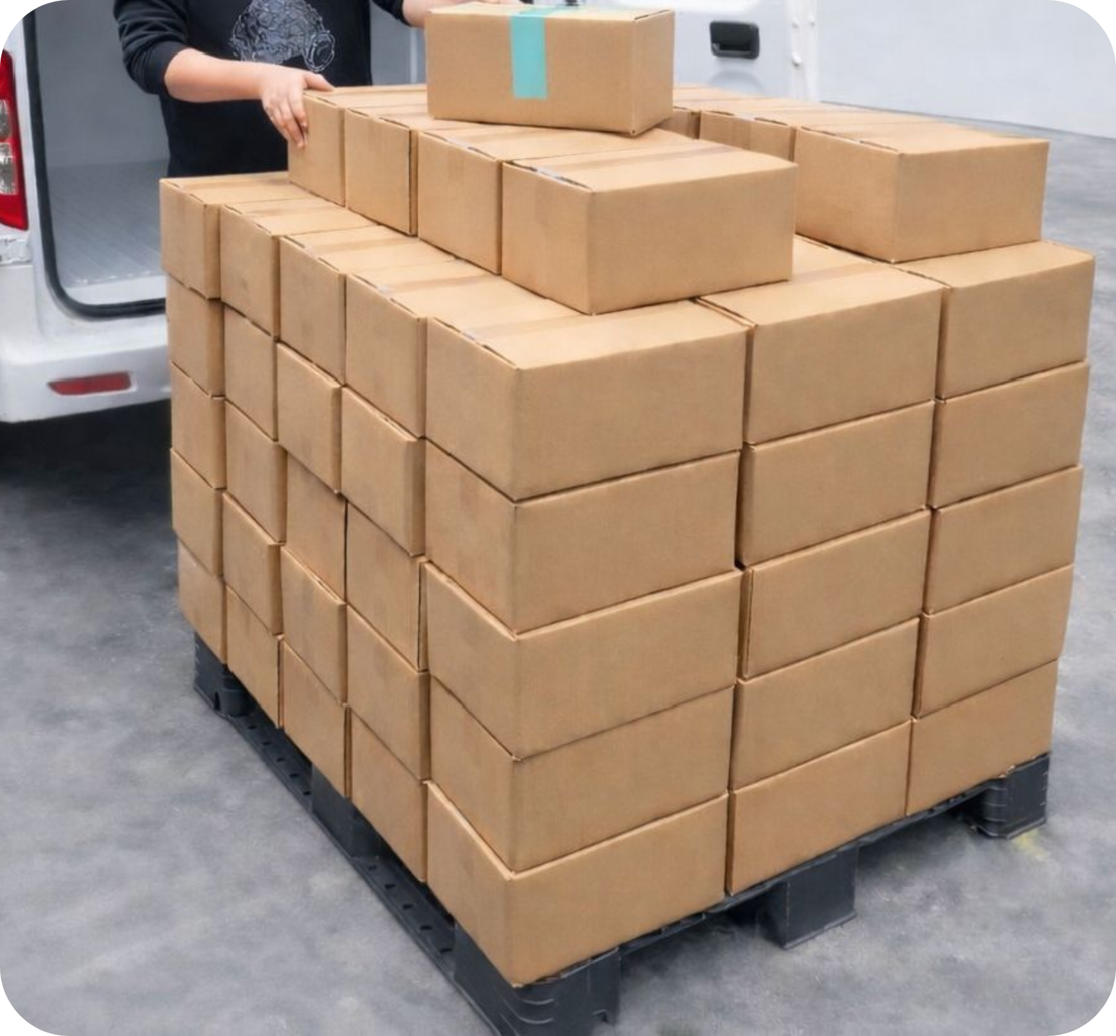 Box Delivery of Shirataki | The Elite Alternative | Premium Shirataki Rice | Philippines Shirataki Rice